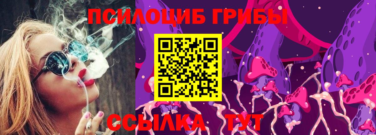 Вятские Поляны  Галлюциногенные грибы прущие грибы  Галлюциногенные грибы ЛСД  Вход с VPN 